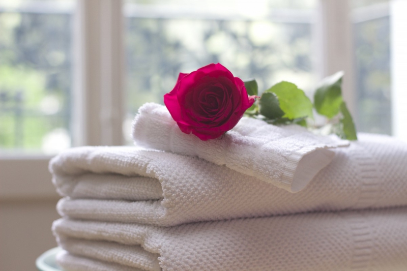 chambre-hote-LE BROC-min_towel_rose_clean_care_salon_spa_white_bath-731641